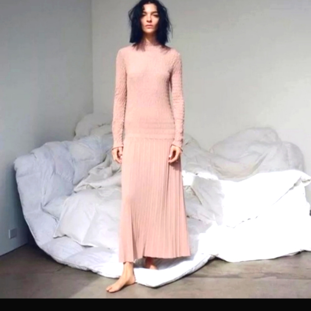 Zara Pink Maxi Dress
